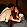 l'elisir d'amore © hl boehme